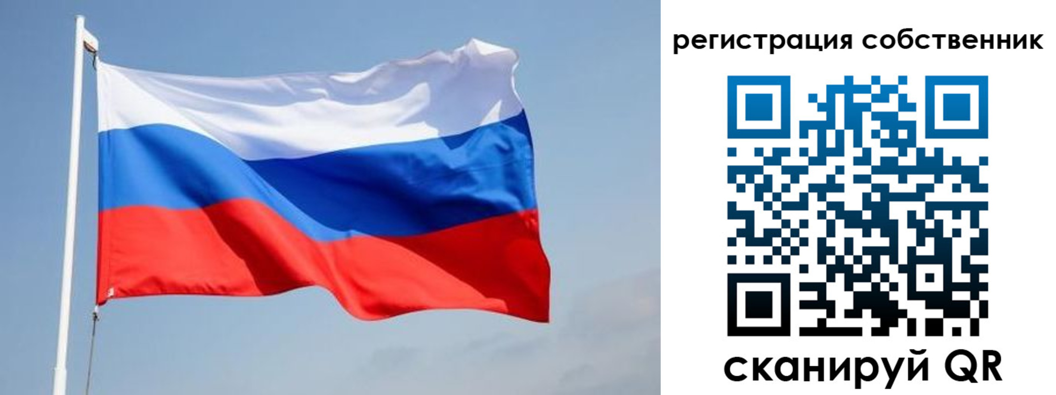 где прописаться в Павловске
